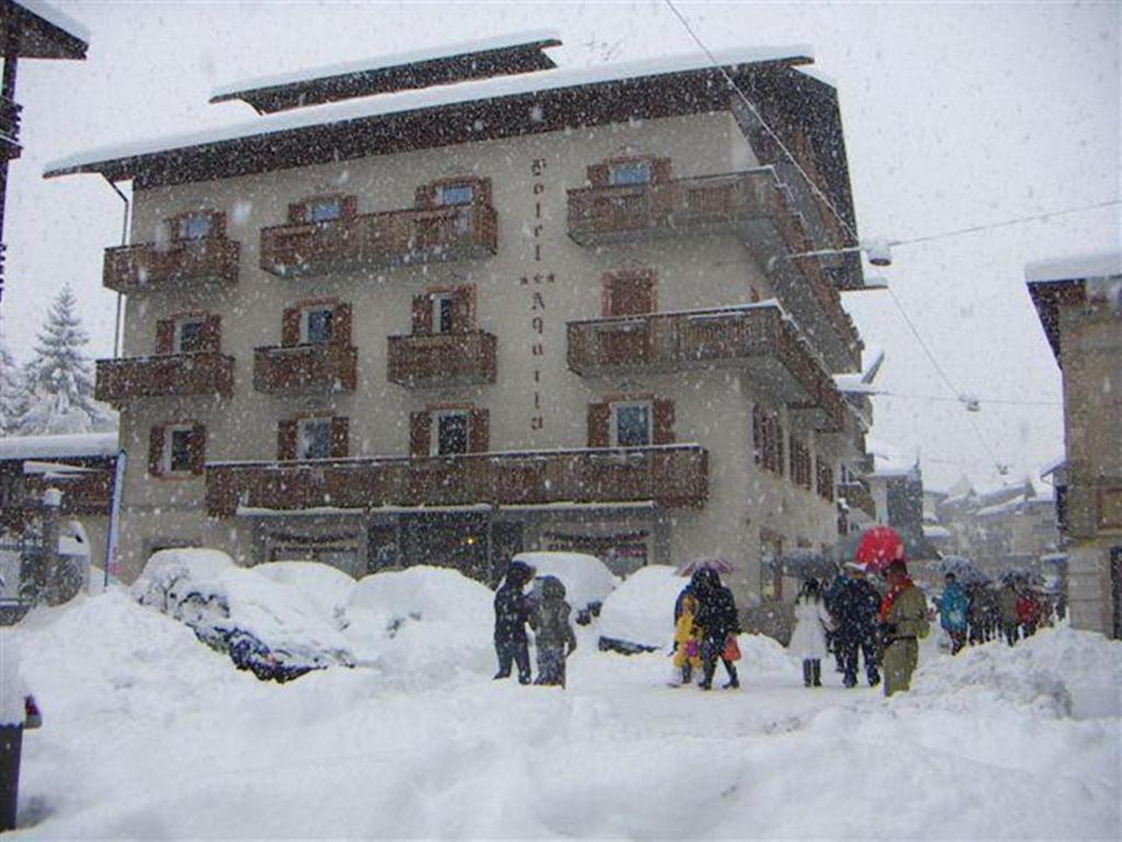 Aquila Cortina d'Ampezzo